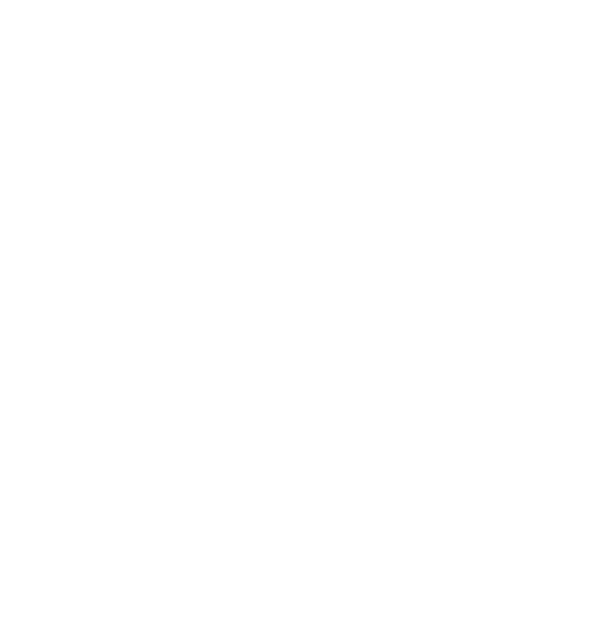 Logo for Team LNH