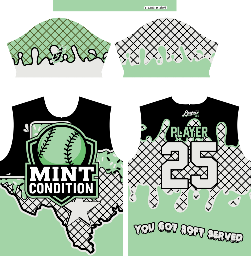 Mint condition Official Jersey