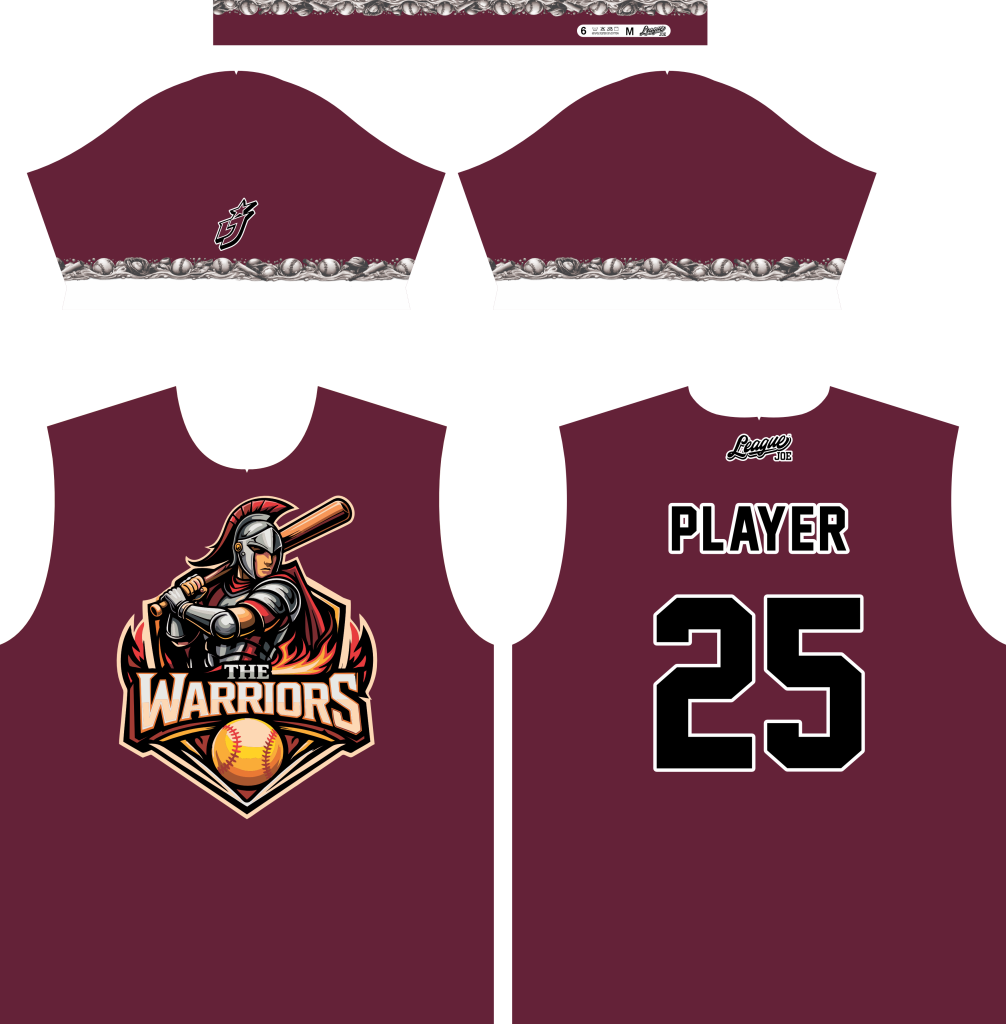 The warriors Official Jersey