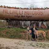 BRArchaeologist Avatar