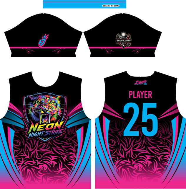 Logo for Neon Night Strike